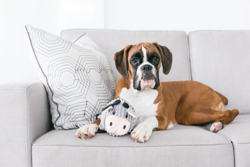 OWH55_Outward Hound_Fattiez Cow