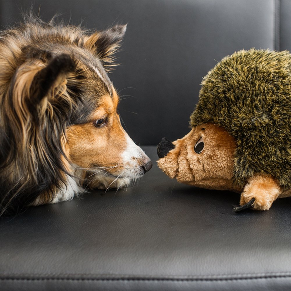 OWH160_Outward Hound Hedgehogz