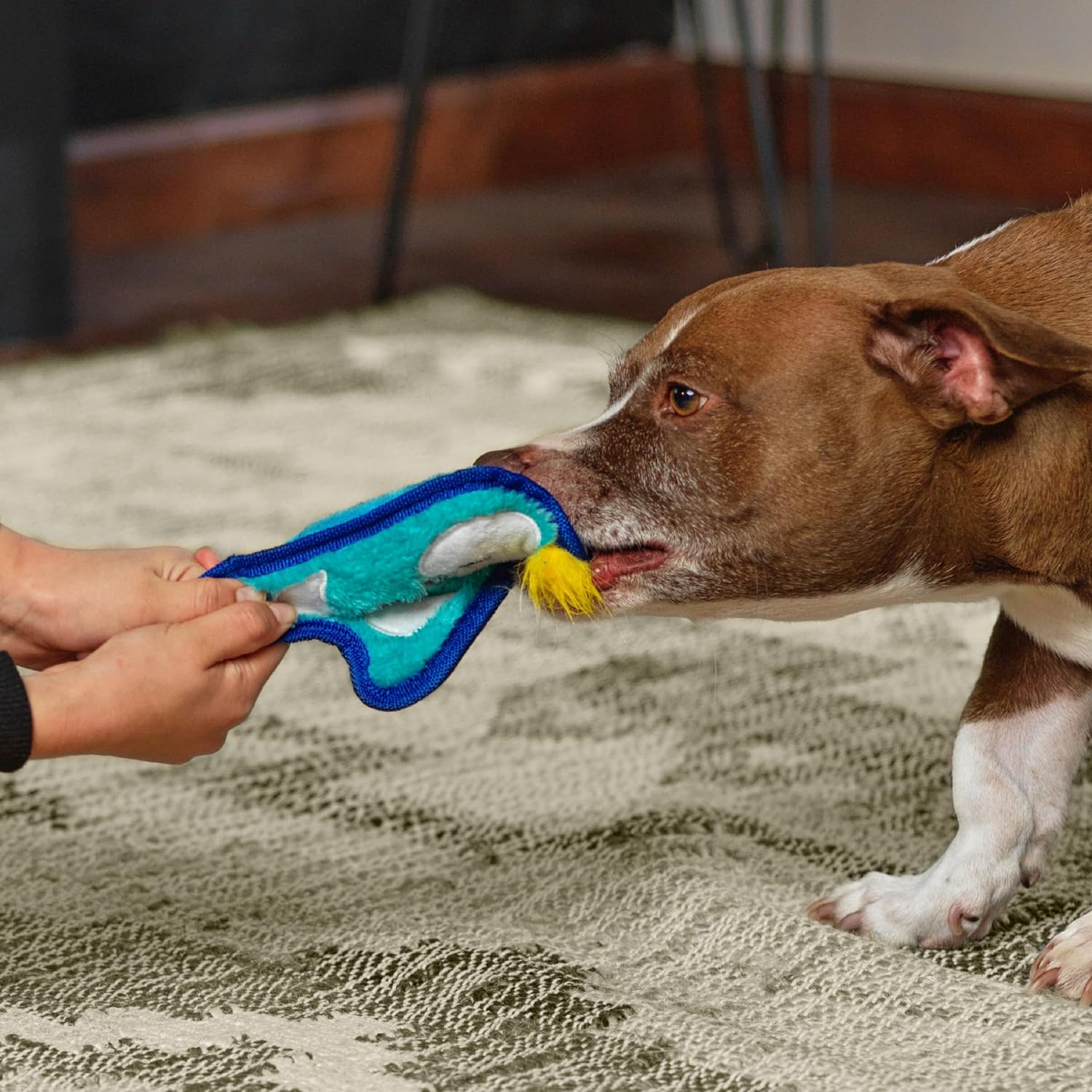 Outward Hound Durablez Mini Penguin
