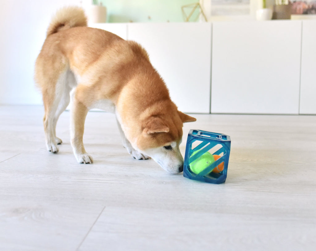 OWH73_Outward Hound_Puzzle Cube