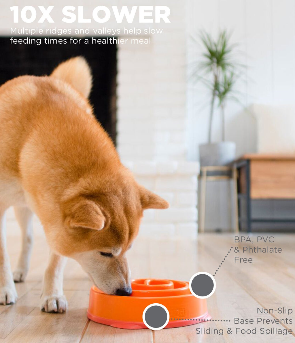 OWH75_Outward Hound Fun Feeder Orange