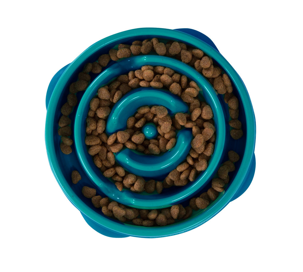 OWH76_Outward Hound_Fun Feeder Teal