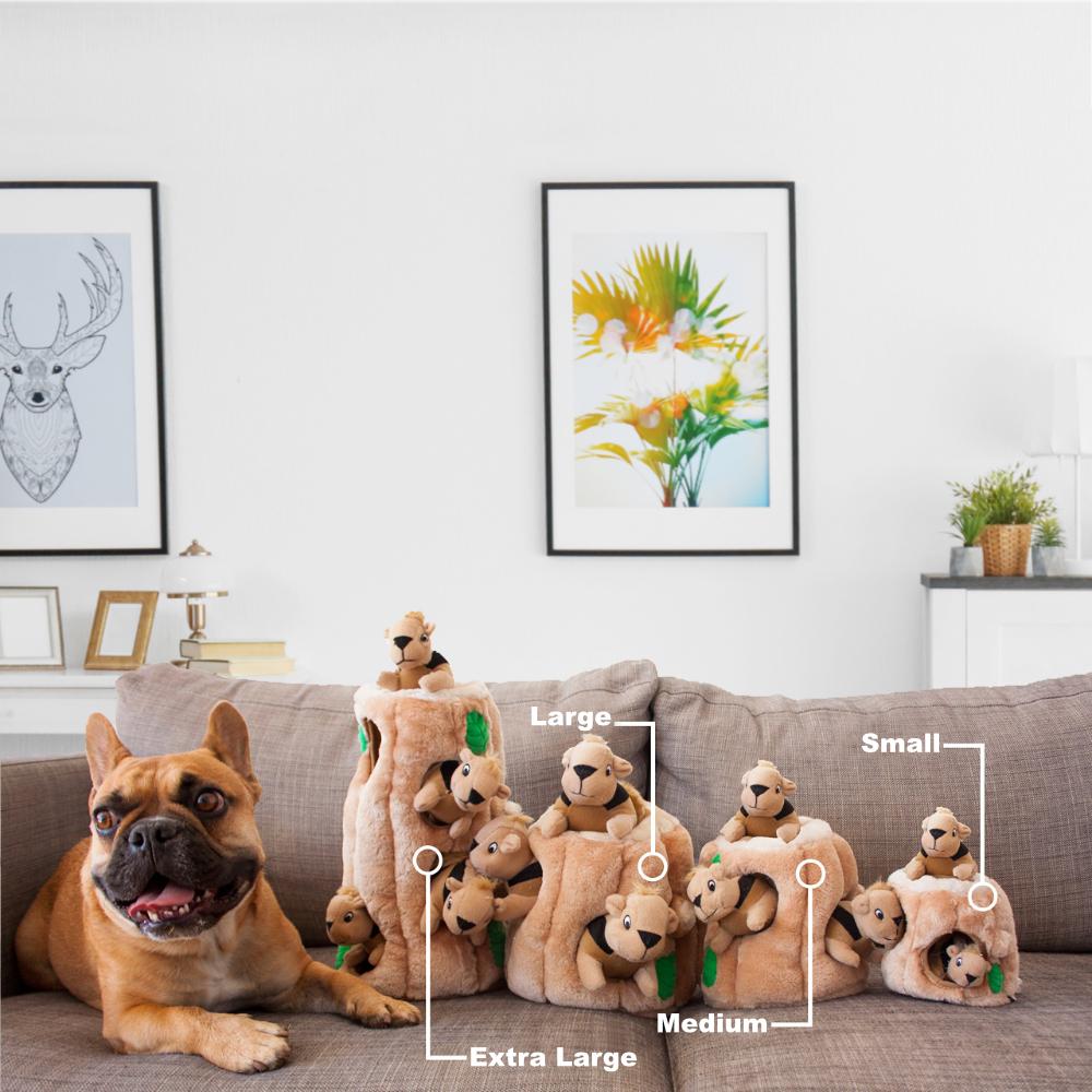 Outward Hound_Hide-A-Squirrel