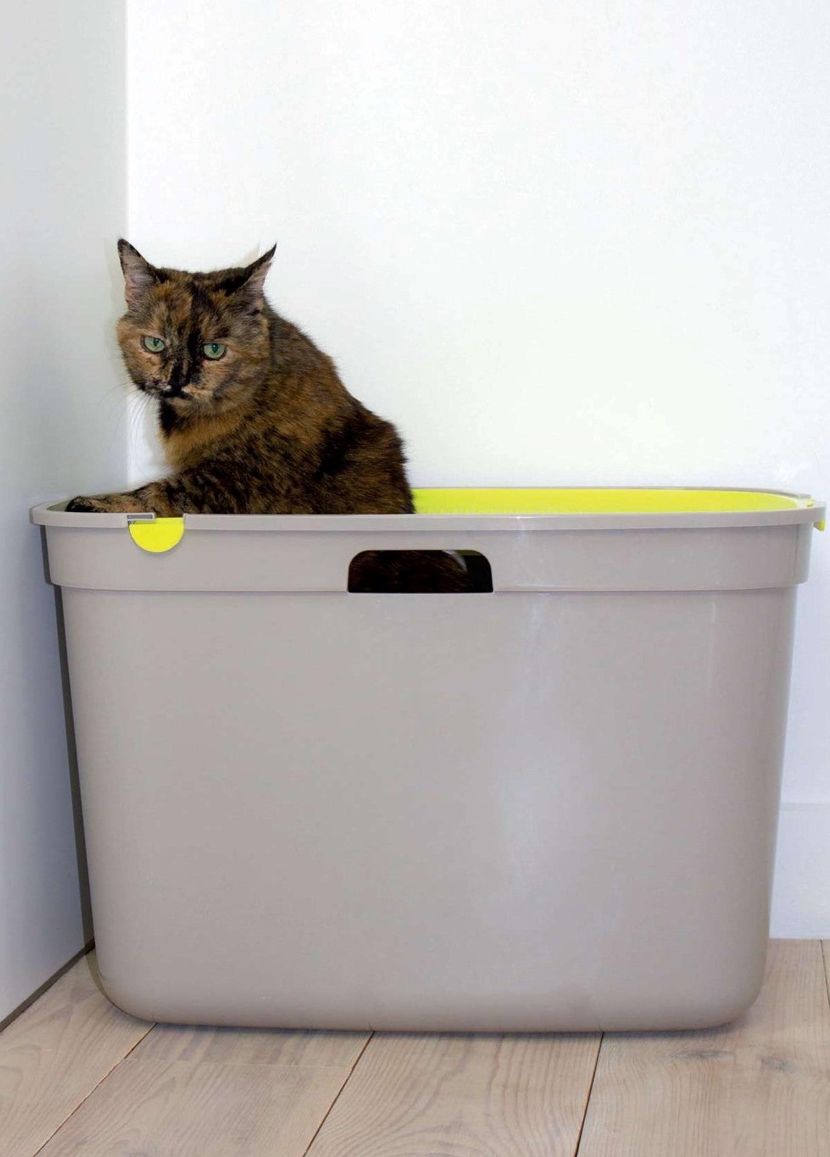 PLA074_Moderna_Top Cat Toilet