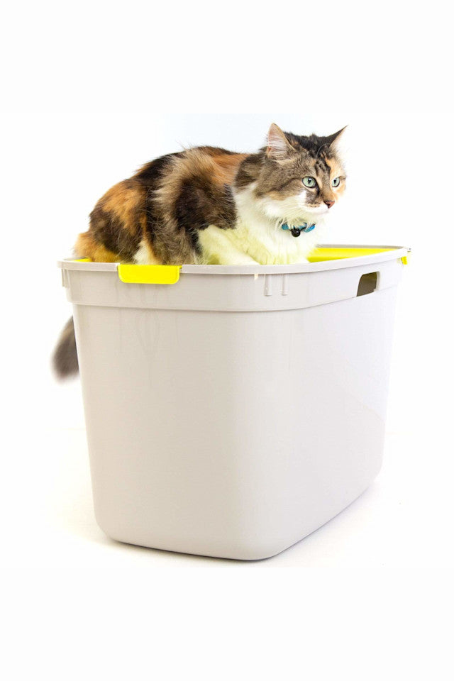 PLA074_Moderna_Top Cat Toilet