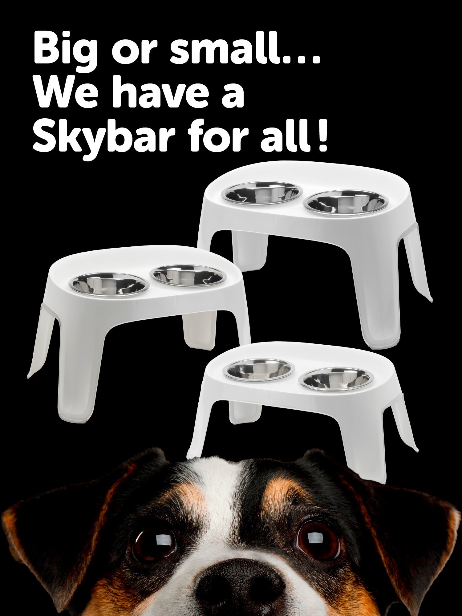PLA086_Moderna_Skybar