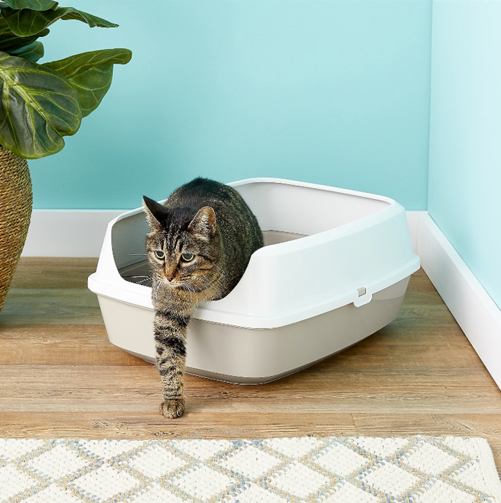 PLA108SC_Moderna_Maryloo Litter Tray with Rim 