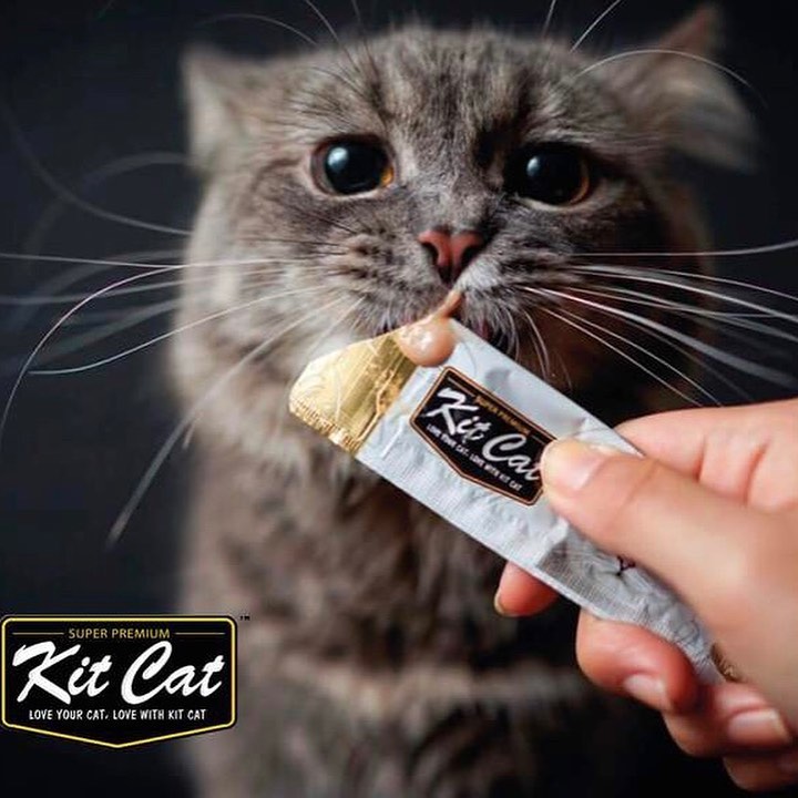 Purr Puree Bulk