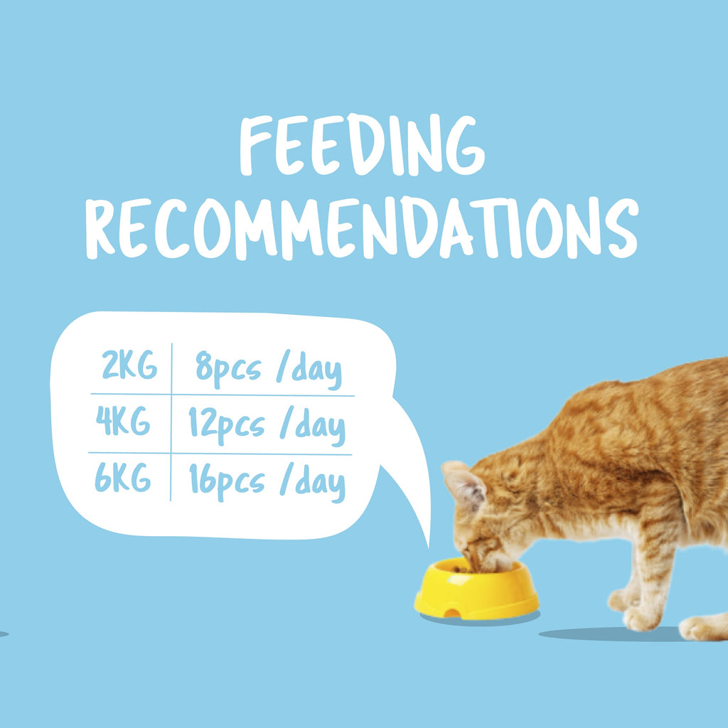 Kit Cat Purrfect Pockets (60g)