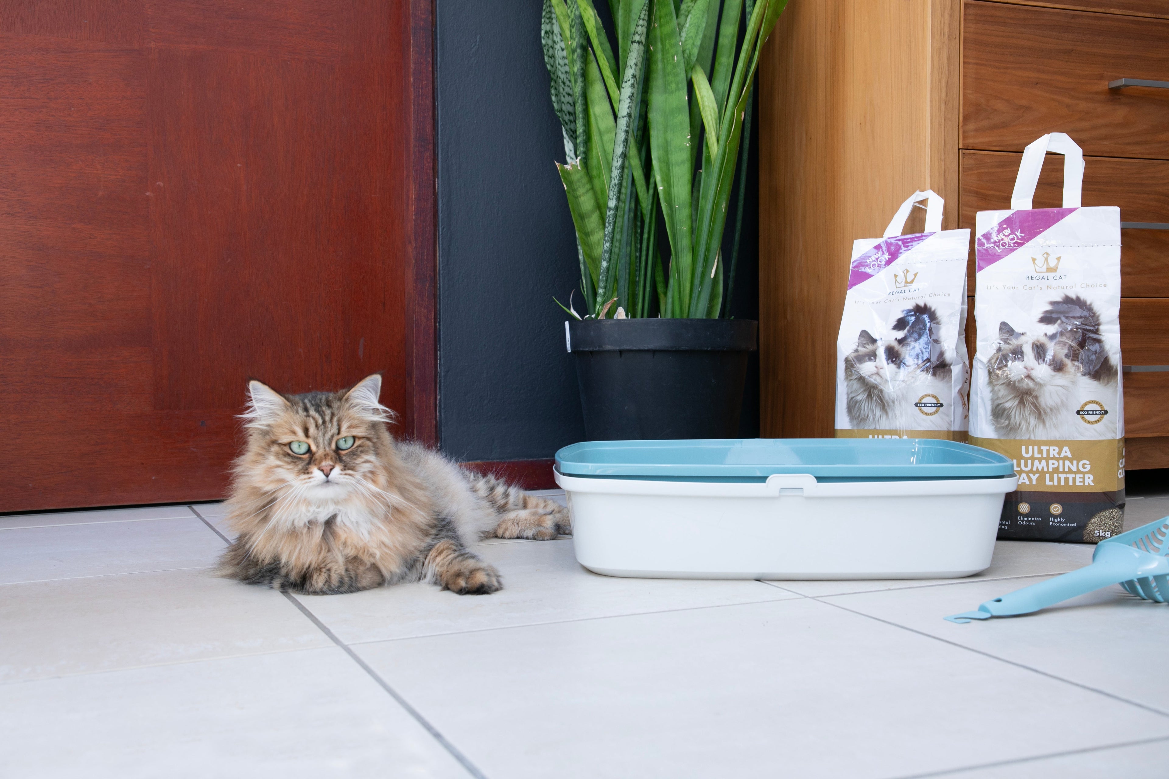 Regal Ultra Clumping Clay Litter