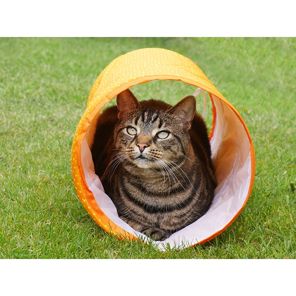 RWC21_Rosewood_Jolly Moggy Cat Tunnel
