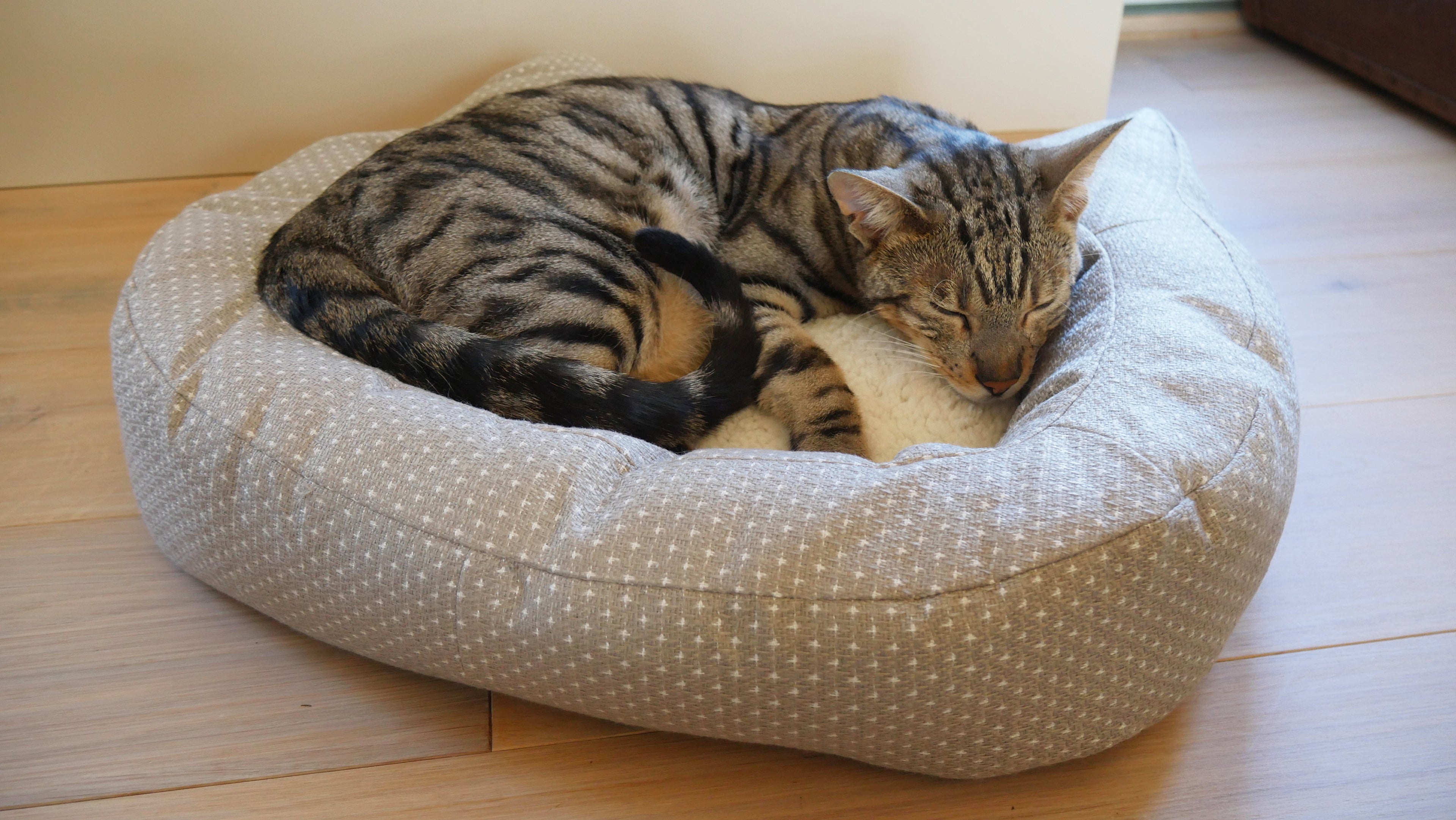 RWC43_Rosewood_Dotty Feline Bed (56cm)