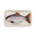 RWC70_Rosewood_Jolly Moggy Catnip Trout Toy