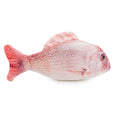 RWC71_Rosewood_Jolly Moggy Catnip Red Snapper