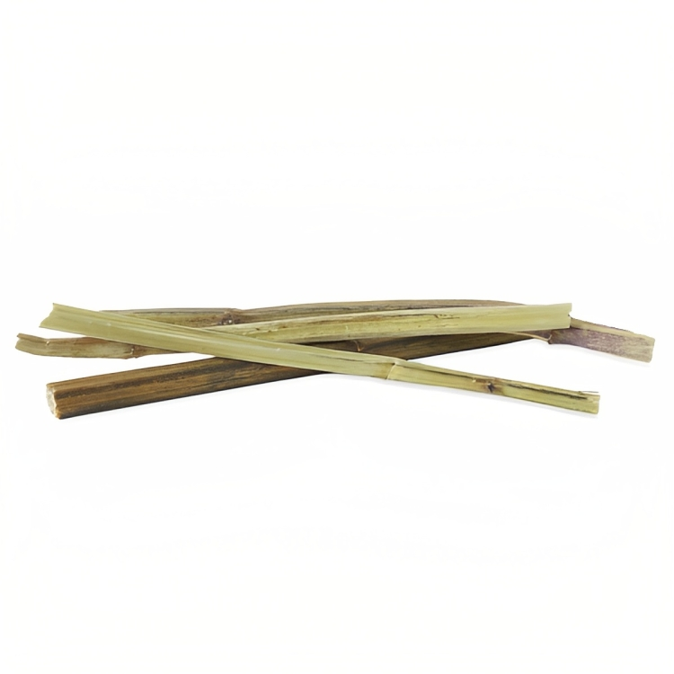 RWC73_Rosewood_Naturals Catnip Sticks