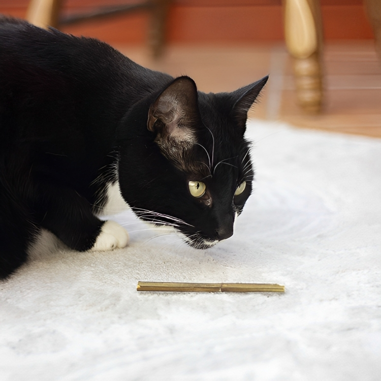 RWC73_Rosewood_Naturals Catnip Sticks