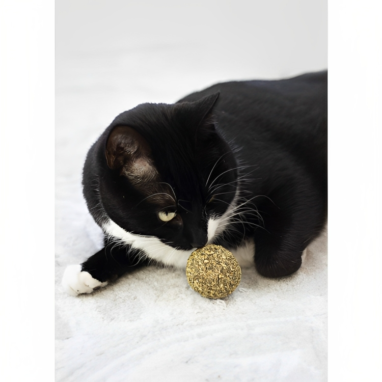 RWC74_Rosewood_Naturals Catnip Ball