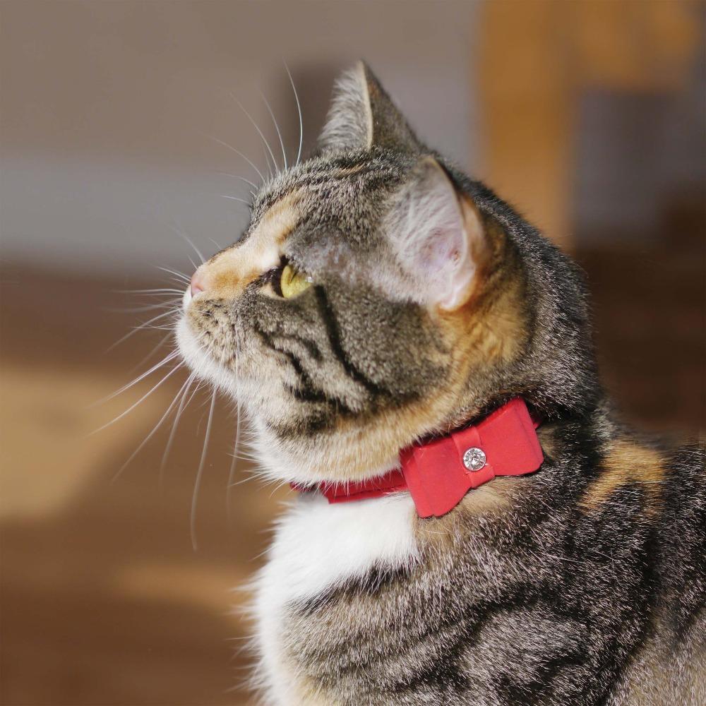 RWC_Rosewood_Cat Collar Red Bow Tie