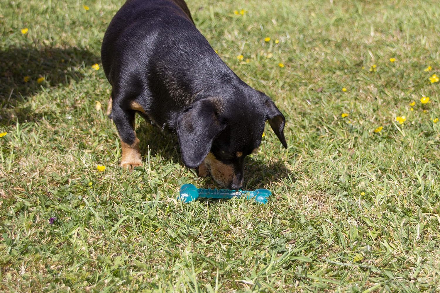 RWD02_Rosewood_BioSafe Puppy Bone (12cm)