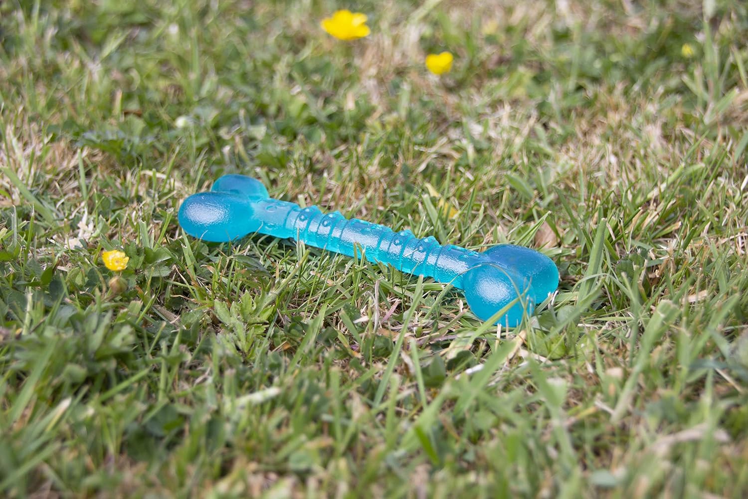 RWD02_Rosewood_BioSafe Puppy Bone (12cm)