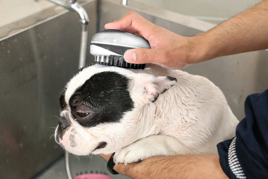 RWD117_Rosewood_2-in-1_Bath_and_Groom_Brush_for_Cats_and_Dogs