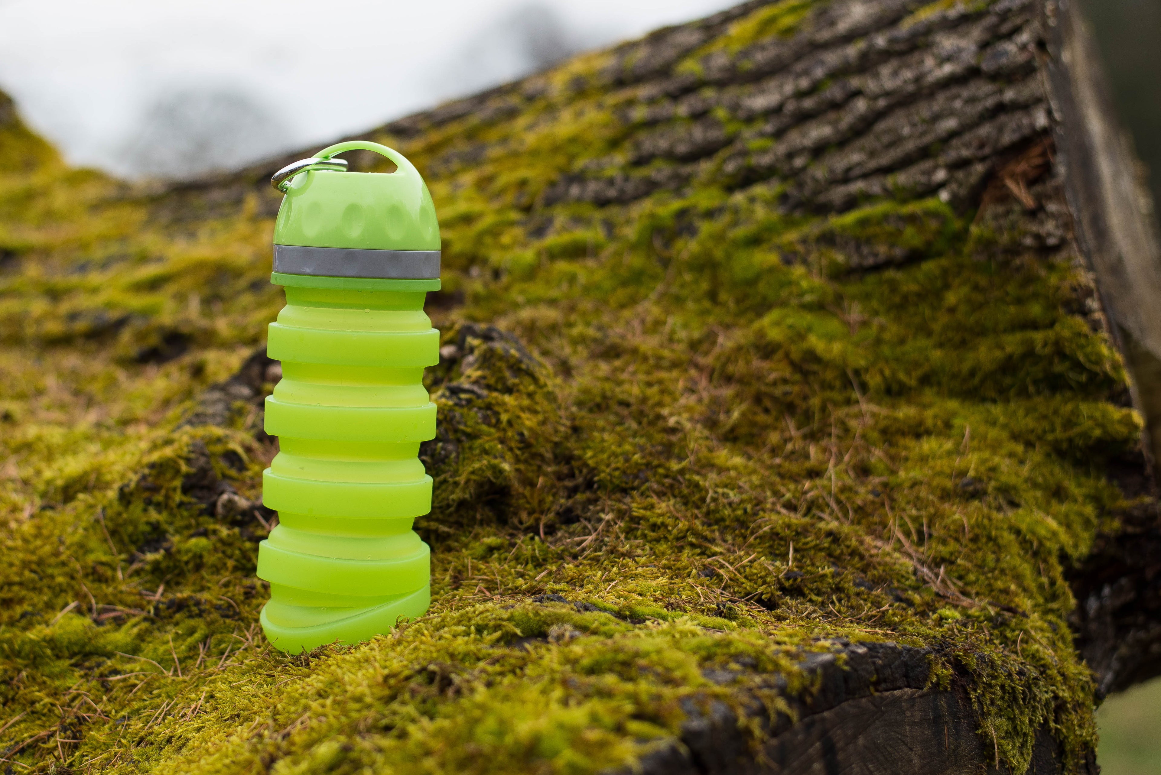  RWD147_Rosewood_Portable Collapsible Travel Bottle