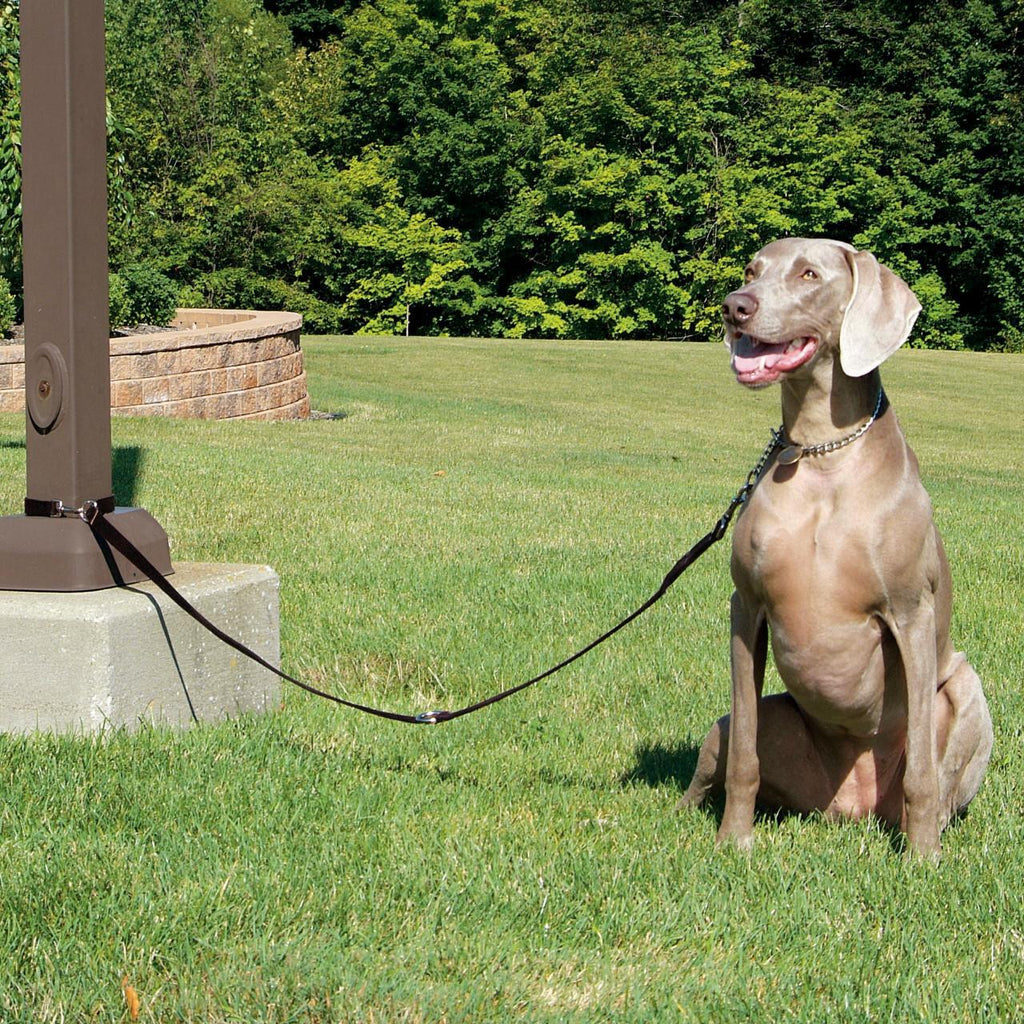 RWD171_Rosewood_Multi-Function Nylon Dog Lead