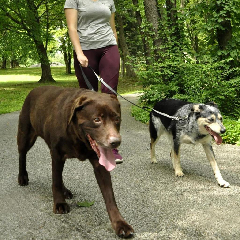 RWD171_Rosewood_Multi-Function Nylon Dog Lead