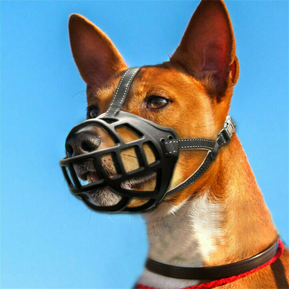 RWD172_Rosewood_Soft Basket Muzzle
