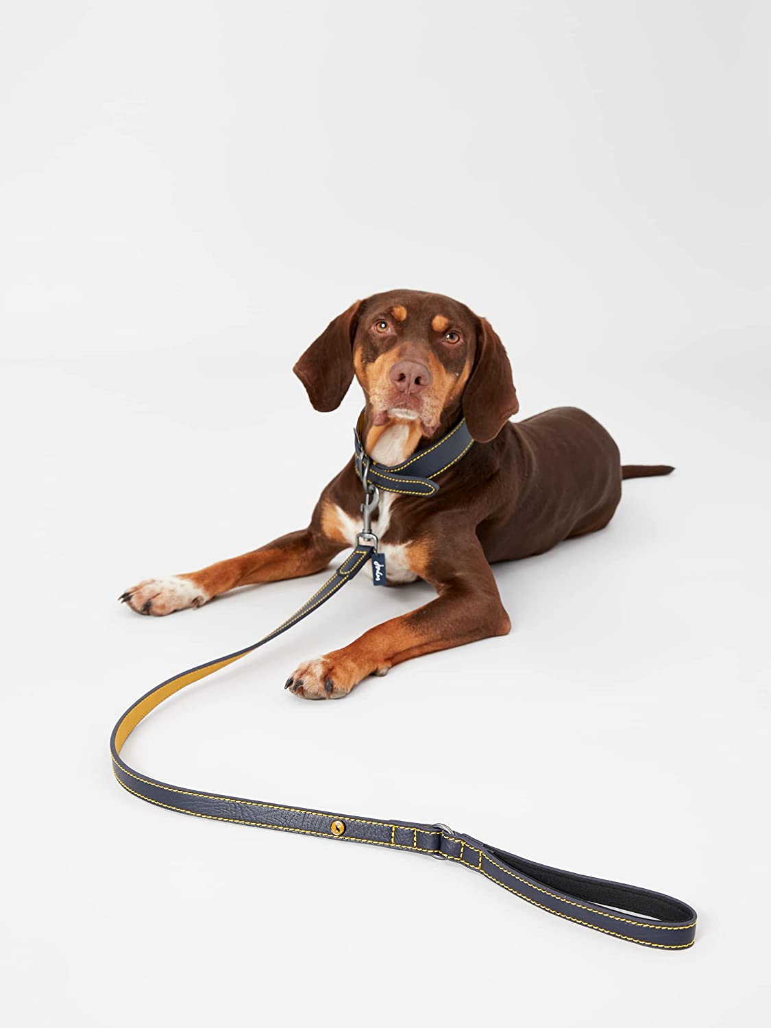 RWD193_Rosewood_Joules Navy Leather Dog Lead