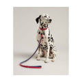 RWD198_Rosewood_Joules Pink Leather Dog Lead