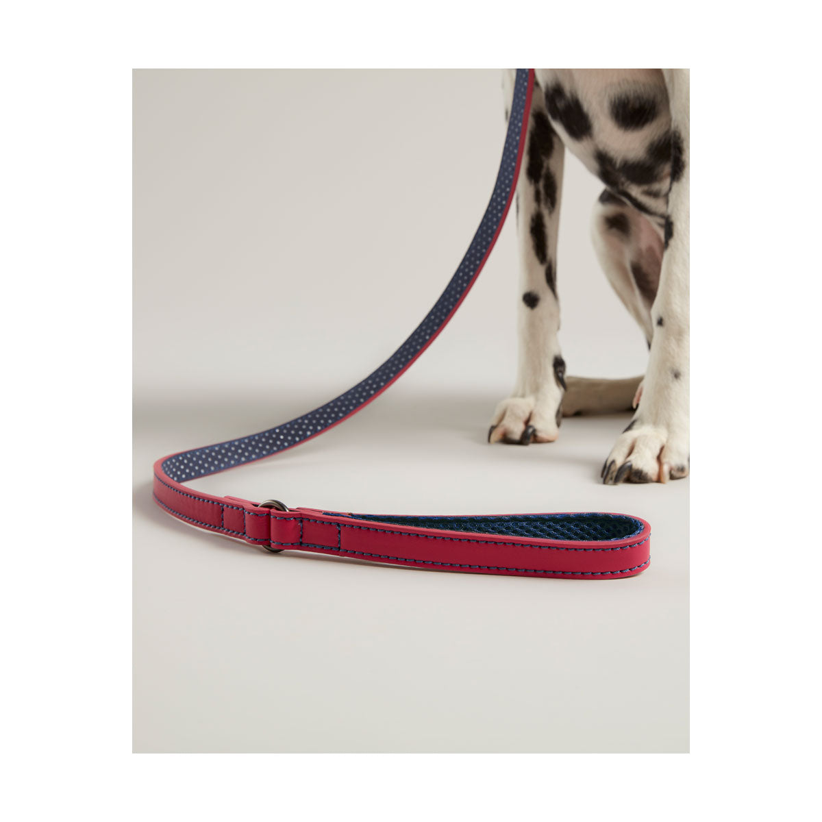 RWD198_Rosewood_Joules Pink Leather Dog Lead