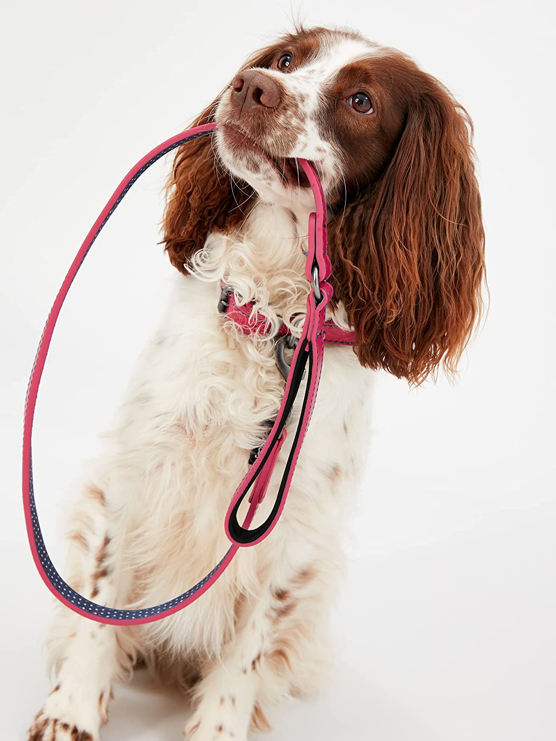 RWD198_Rosewood_Joules Pink Leather Dog Lead