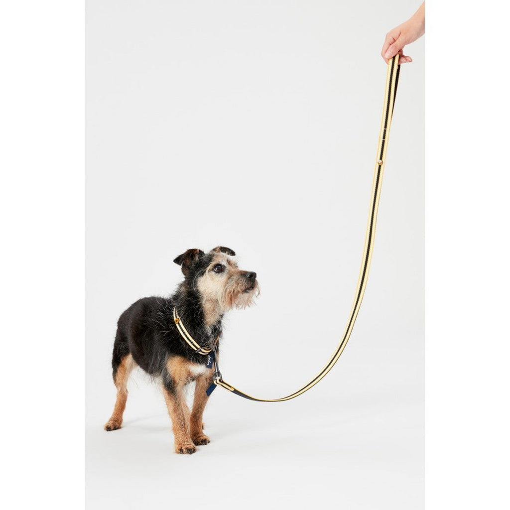 RWD208_Rosewood_Joules Navy Coastal Lead