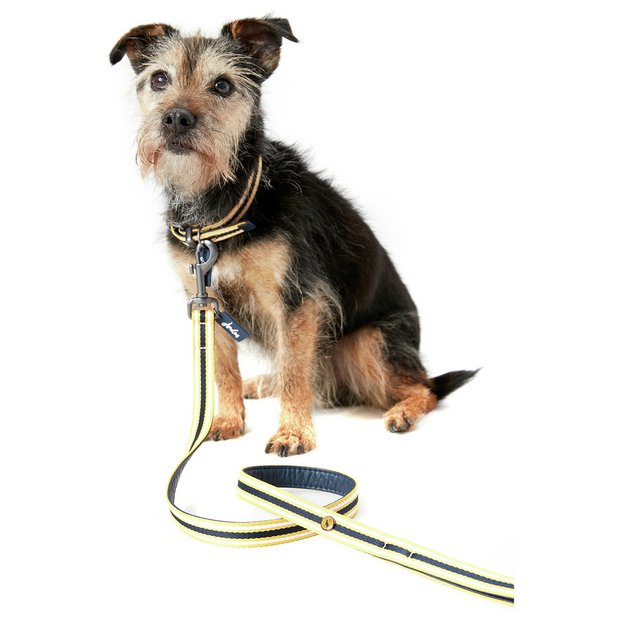 RWD208_Rosewood_Joules Navy Coastal Lead