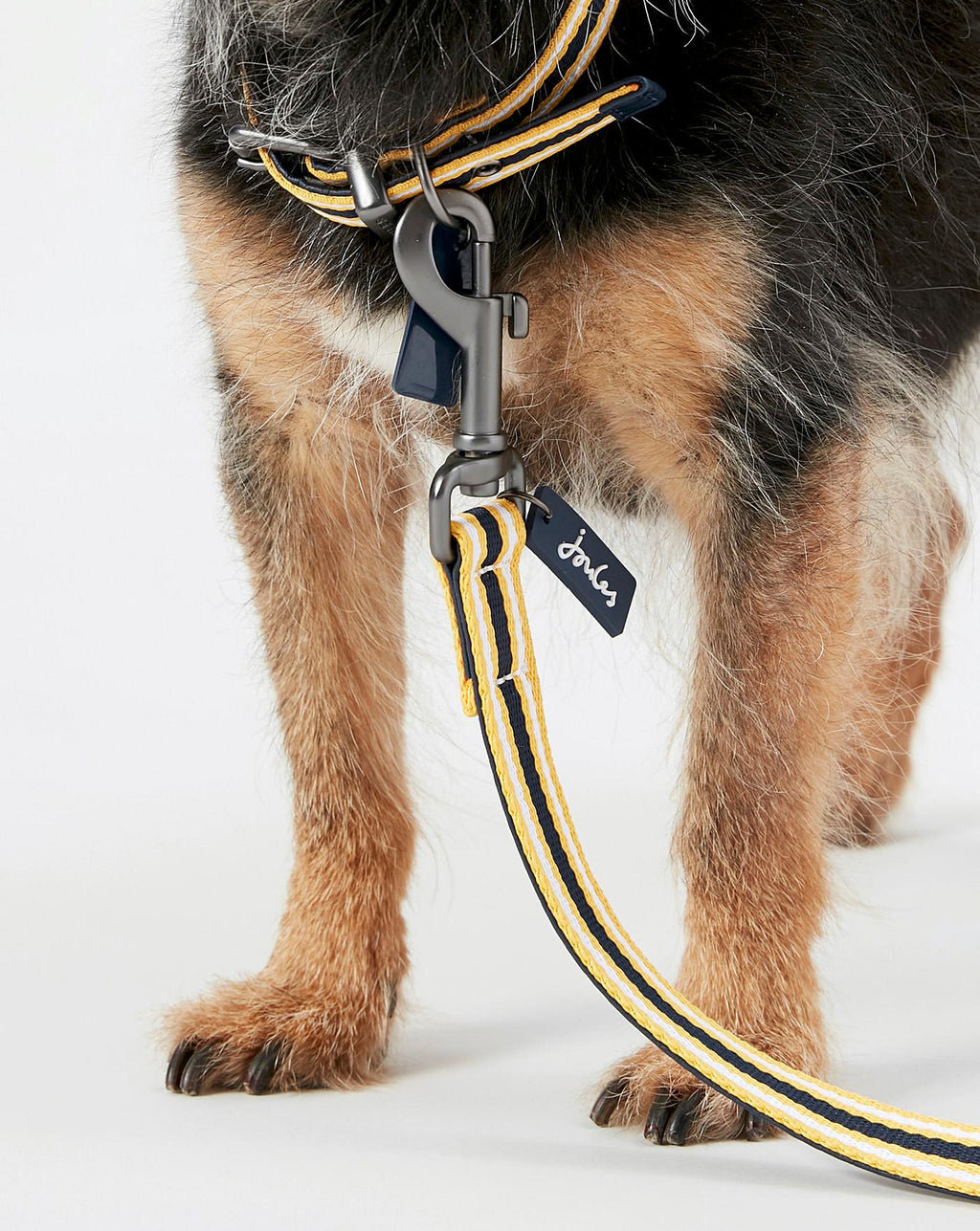 RWD208_Rosewood_Joules Navy Coastal Lead