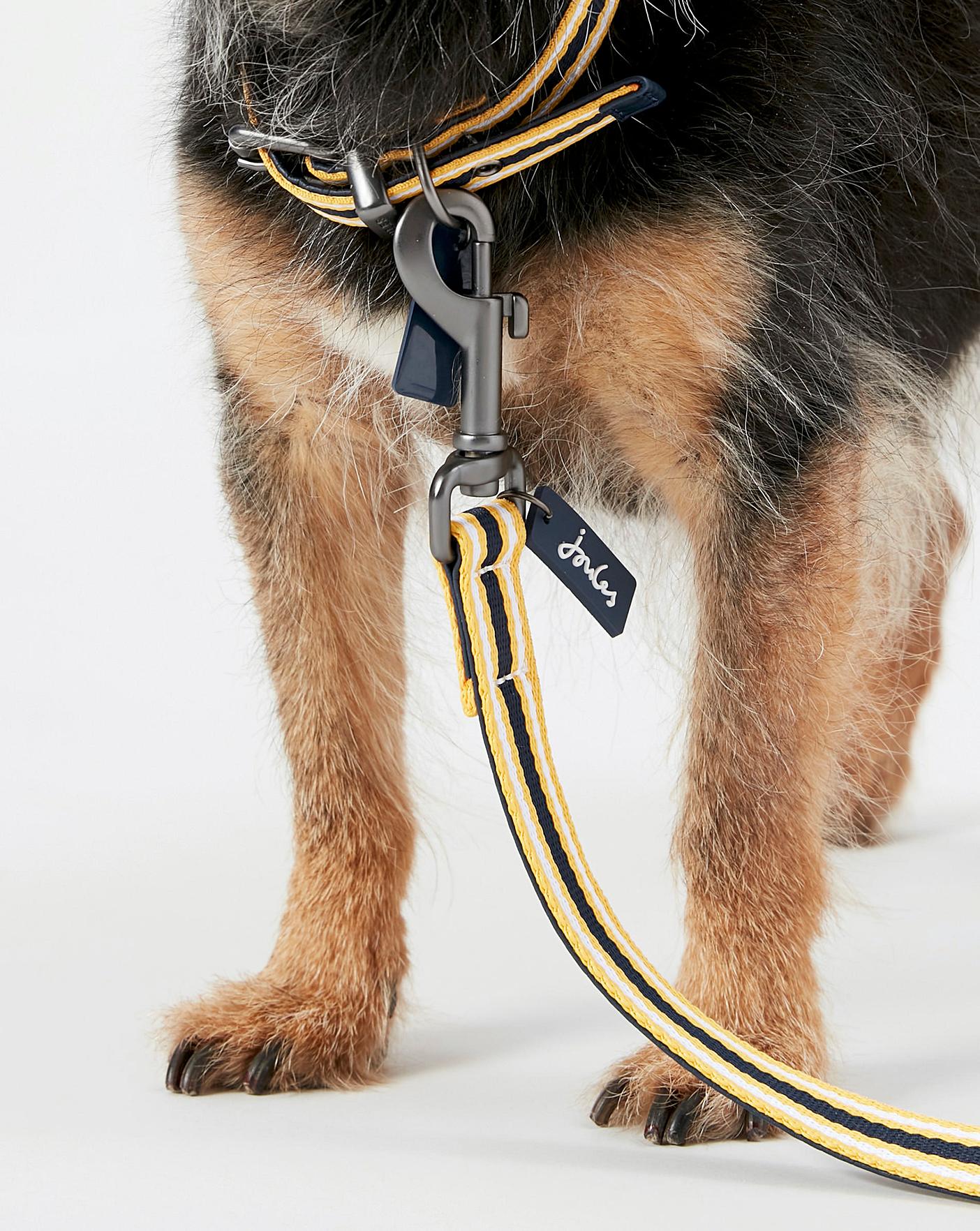 RWD208_Rosewood_Joules Navy Coastal Lead