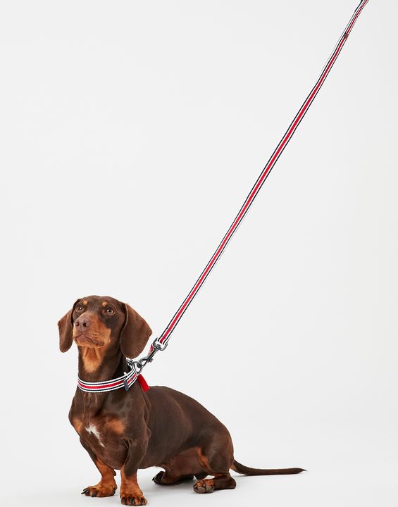 RWD213_Rosewood_Joules Striped Lead