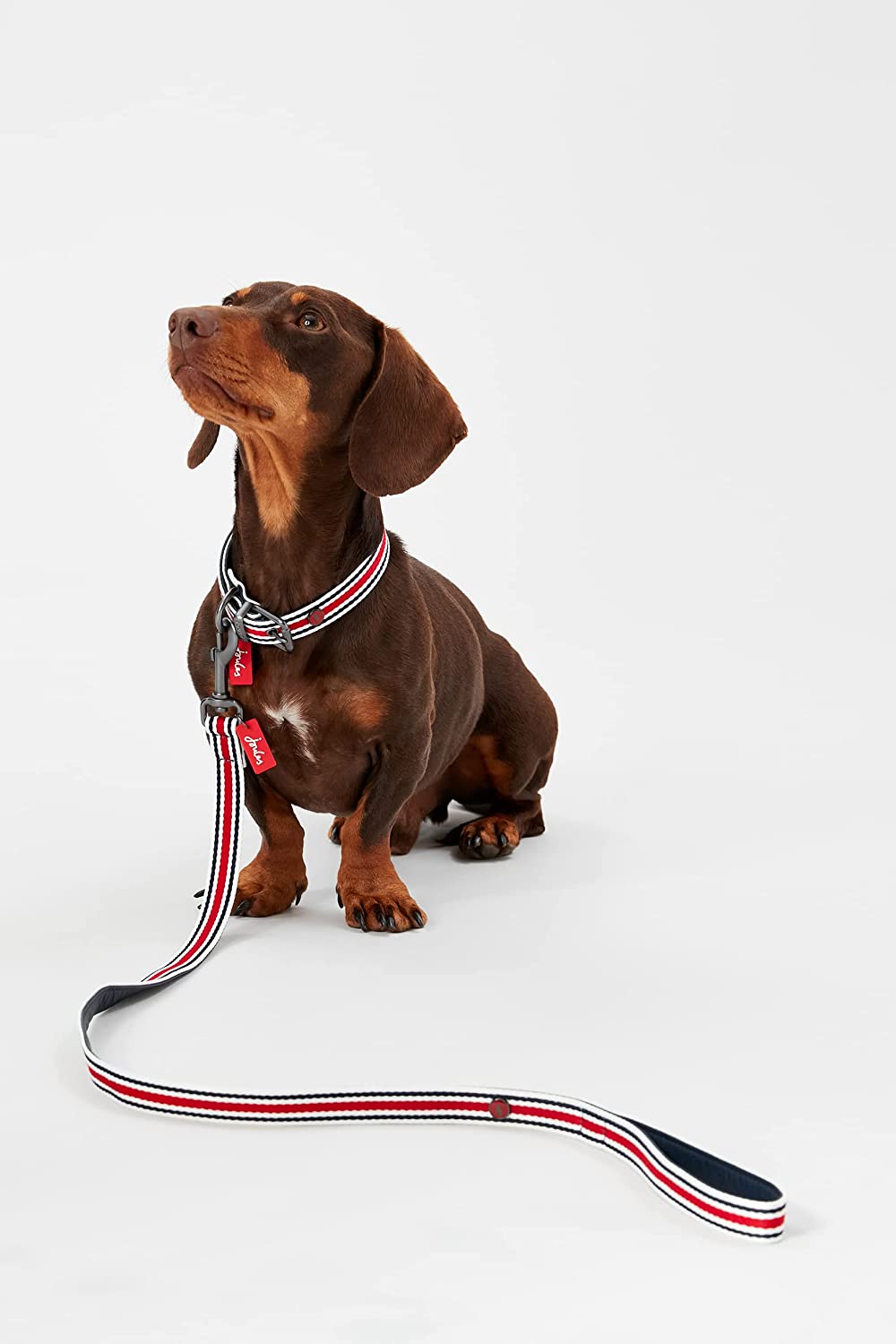 RWD213_Rosewood_Joules Striped Lead