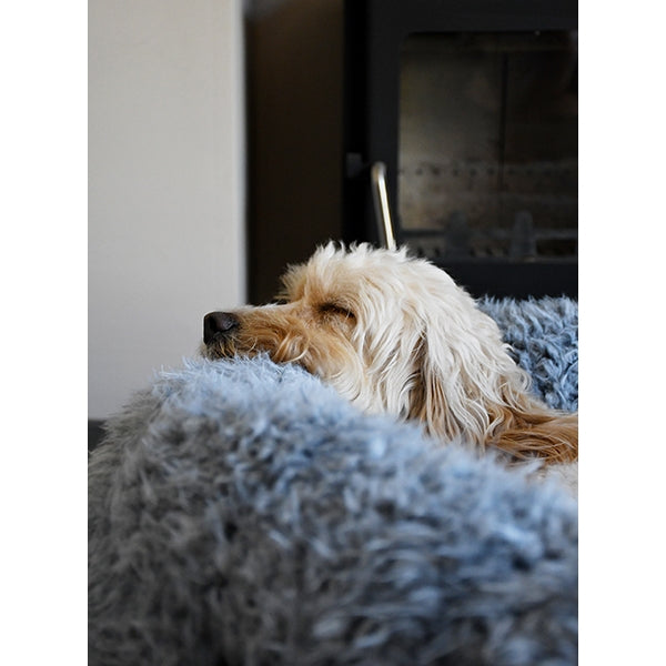 RWD253_Rosewood_Silver Fluff Comfort Round Bed (66cm x 66cm)