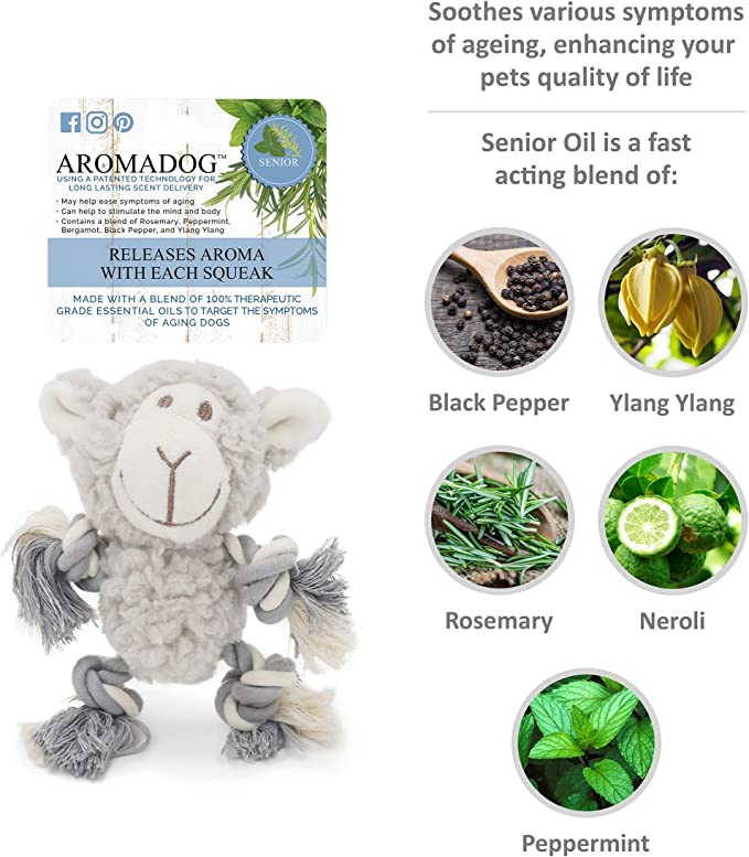 RWD268_Rosewood_Aromadog Senior Mini Fleece