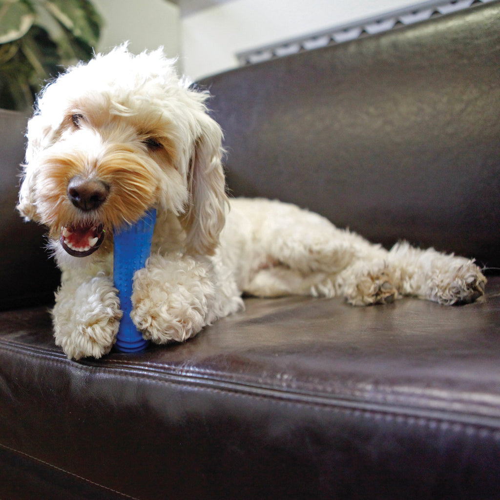 RWD28_Rosewood_Chillax Cool Bone
