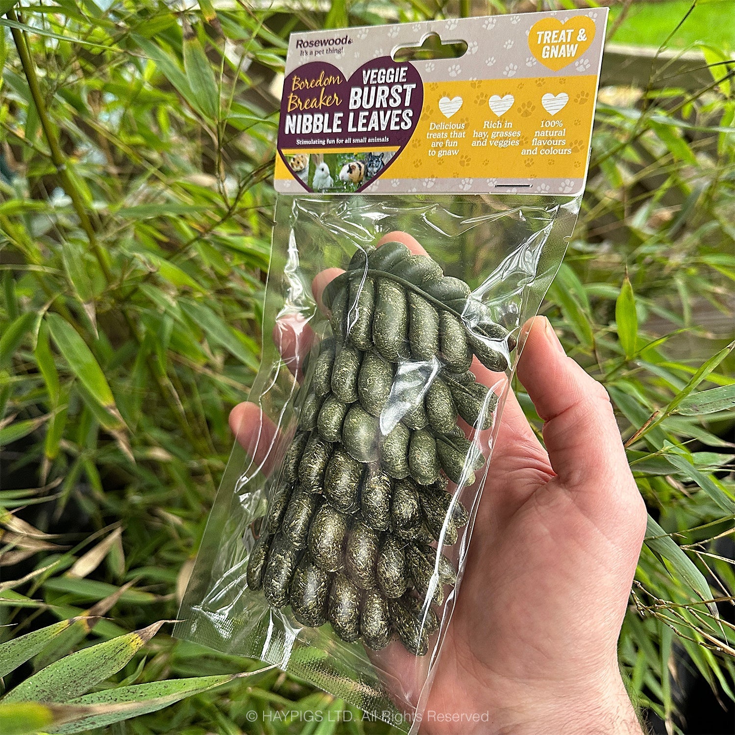 RWSM96_Rosewood Veggie Burst Nibble Leaves