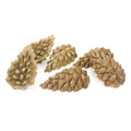 RWSM97_Rosewood Veggie Burst Pine Cones
