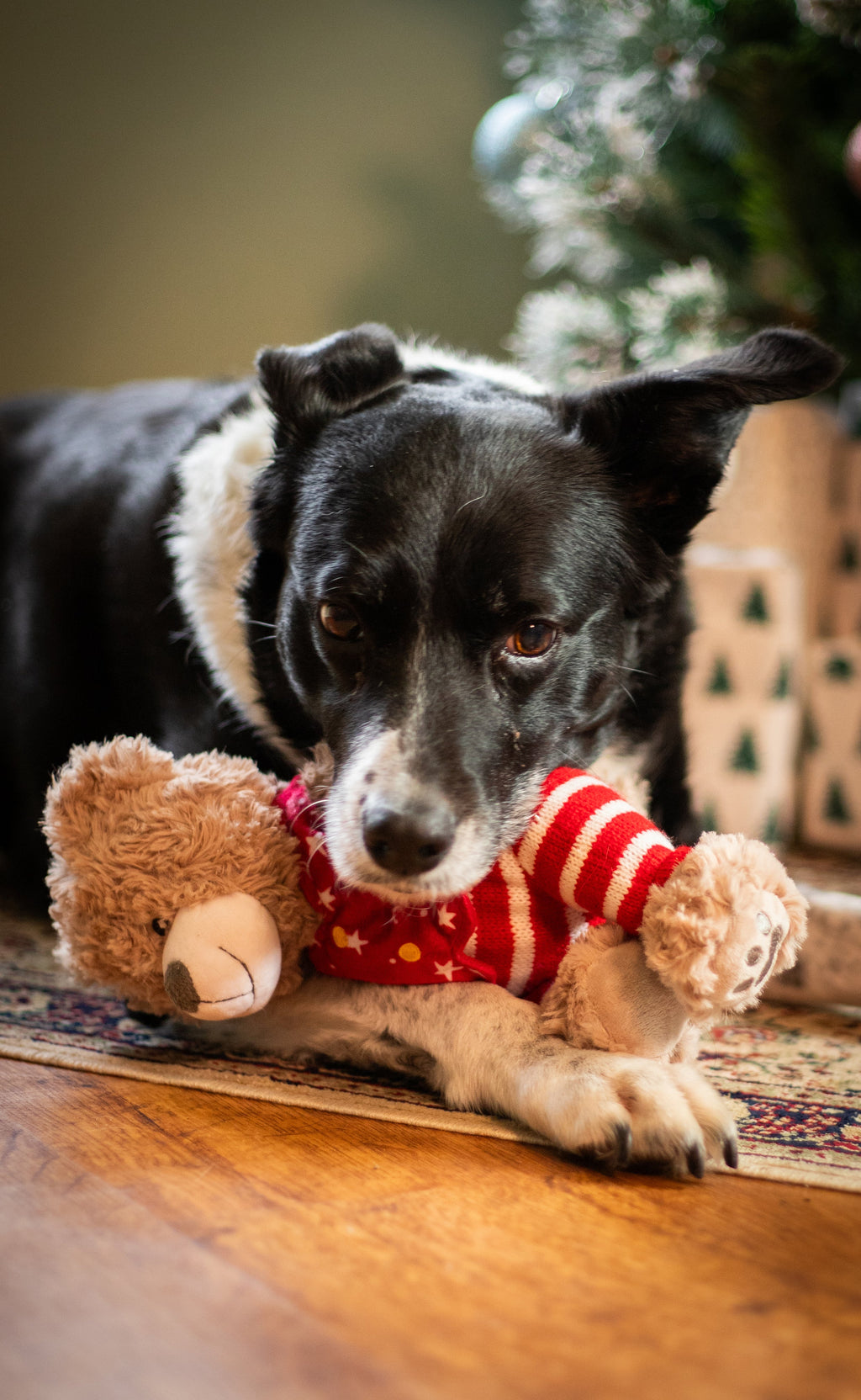 Buddy Bear