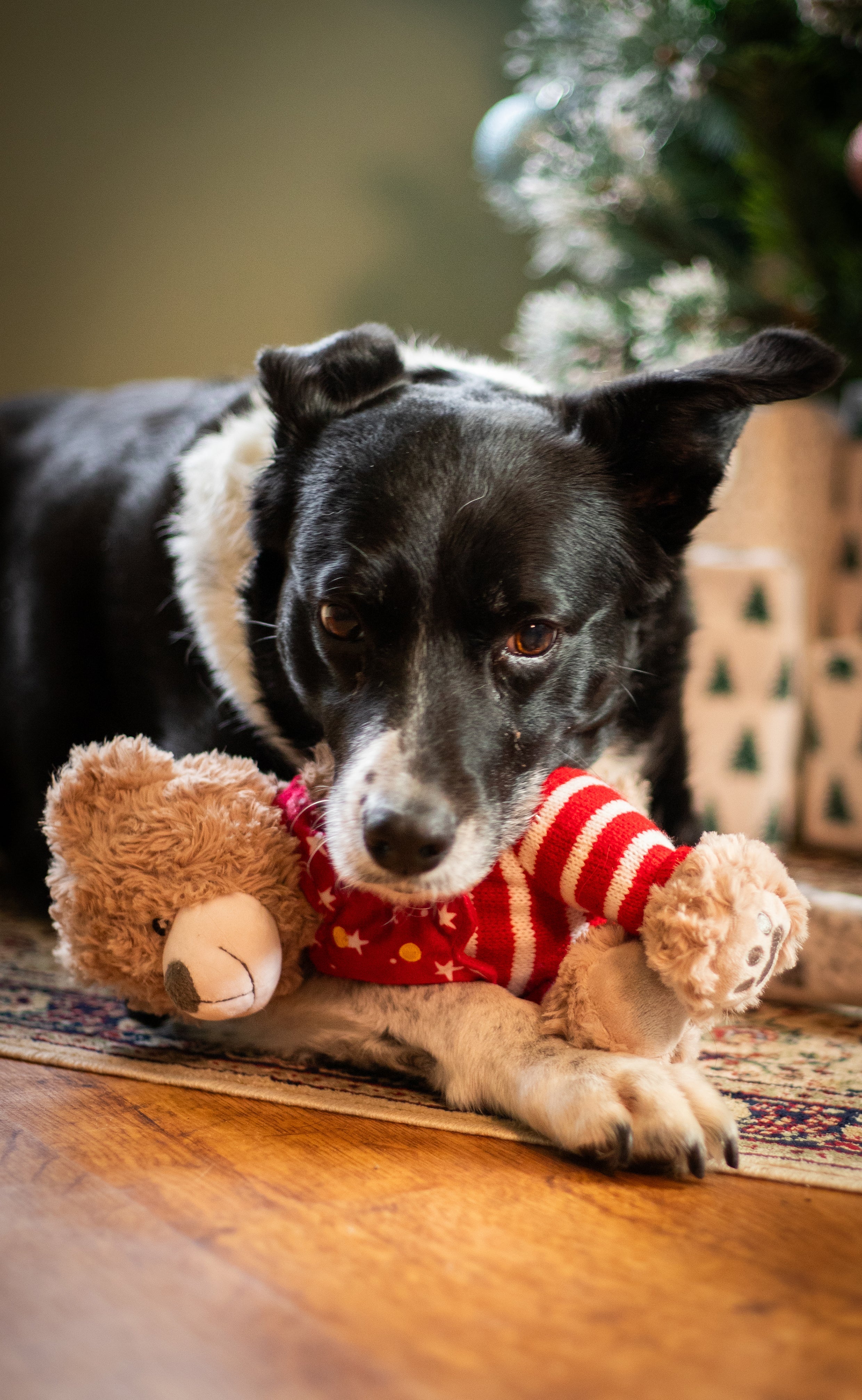 Buddy Bear