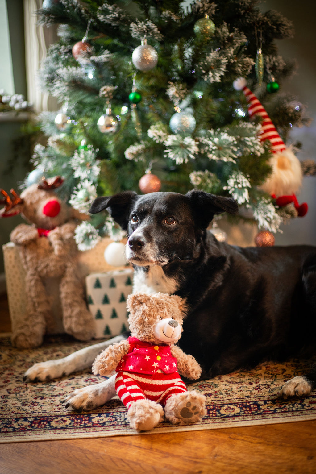 Buddy Bear