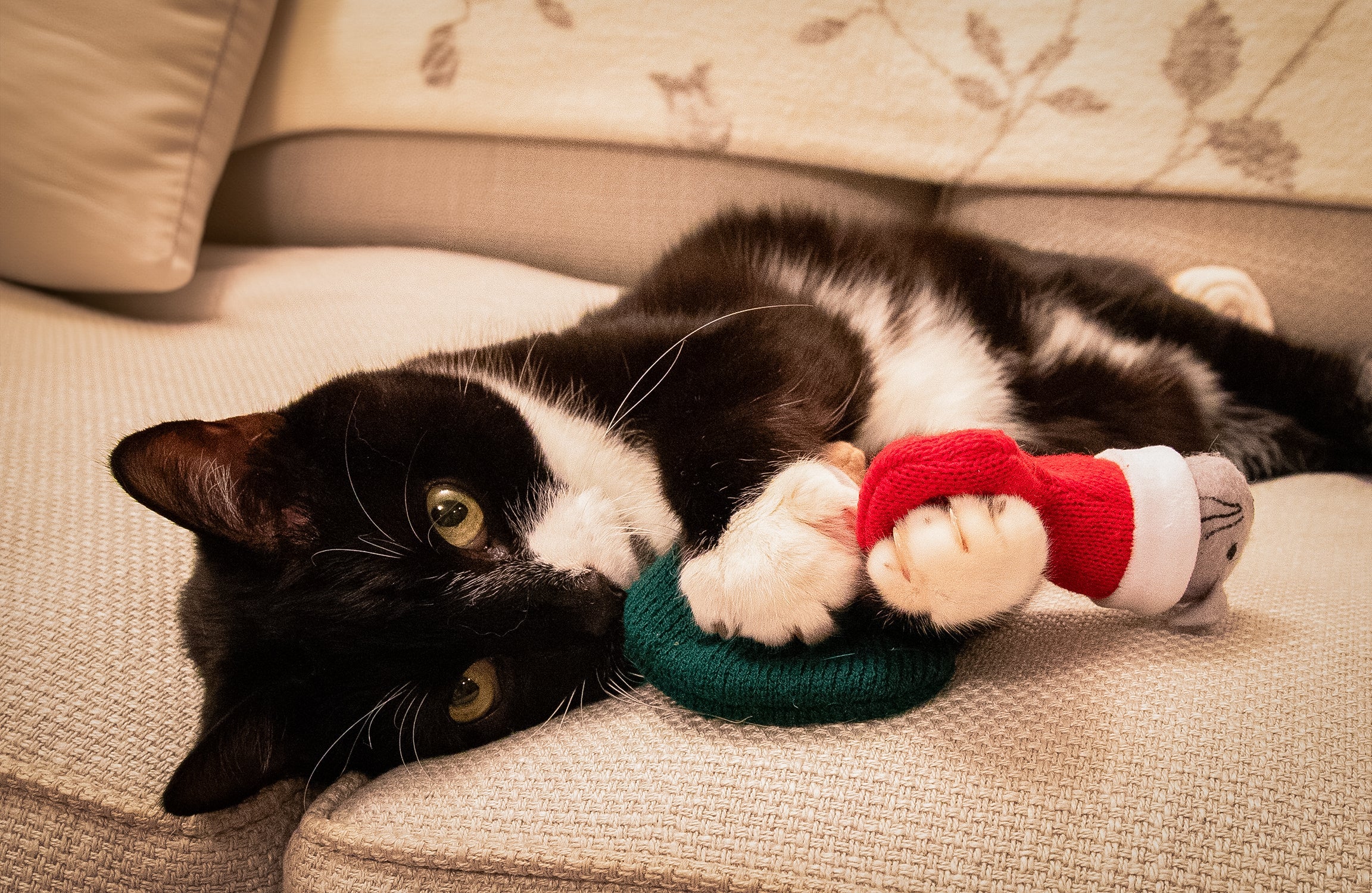Martha & Mayor Mice Duo