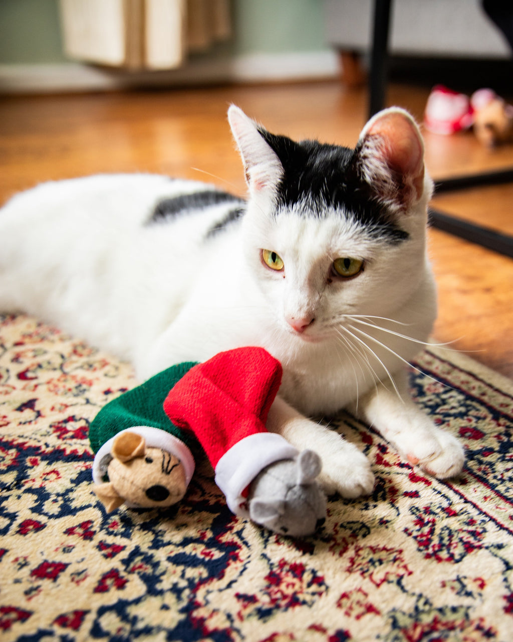 Martha & Mayor Mice Duo