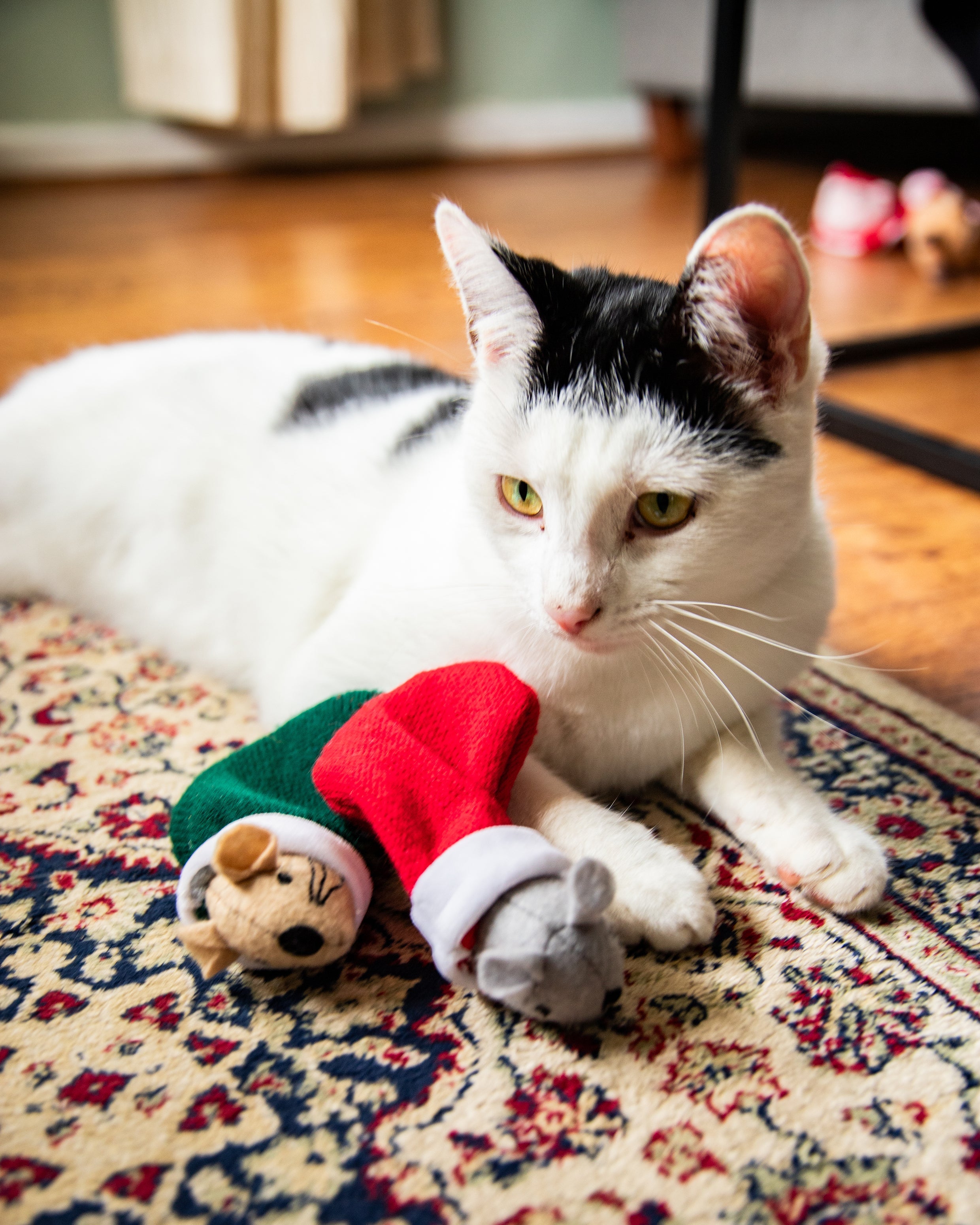 Martha & Mayor Mice Duo